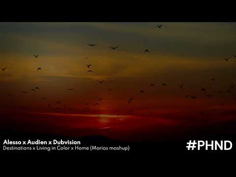 Alesso x Audien x Dubvision  -  Destinations x Living in Color x Home (Marios mashup)
