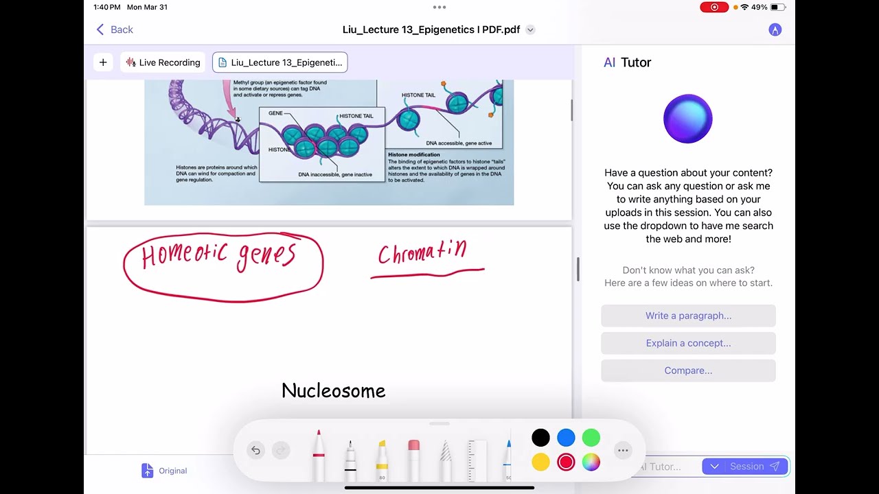 Lecture recording live while taking notes on lecture slides with apple pencil on Mindgrasp iOS app video thumbnail