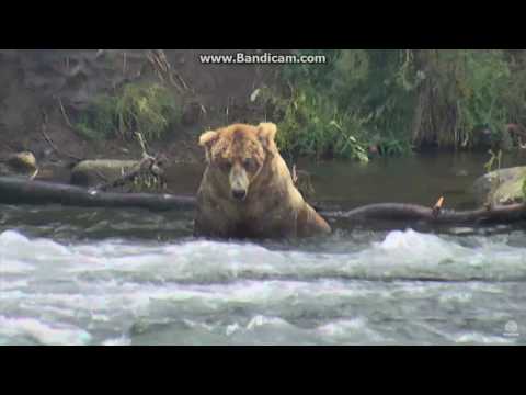 1128AM 072116 OTIS close up