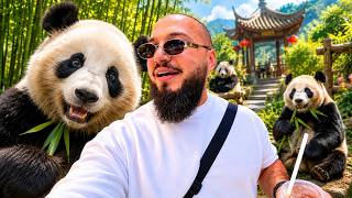 Visiting Adorable & Giant Pandas In Diverse Chongqing + Historical Hongyadong, China 🇨🇳