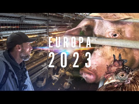 Mission: EUROPA 2023 - Trailer | Robert Marc Lehmann