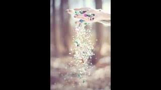 Dominika Najberg - Twist (Maanam)