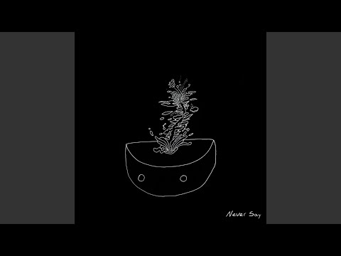 Never Say - Cape Weather
