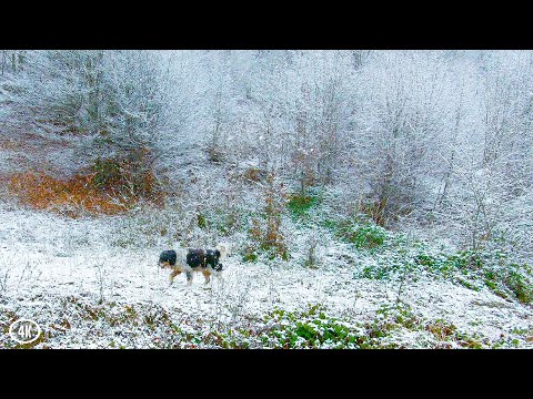 ROMANIA 4K | Winter Walk In The Romanian Countryside (Moldova Region)
