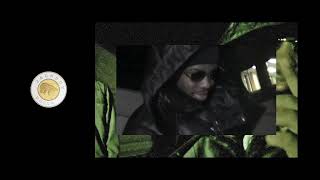 Ours Polaire Freestyle