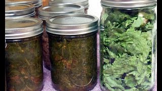 Canning Collard Green Southern Style
