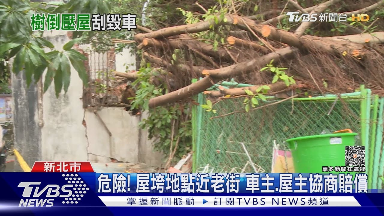 樹倒屋垮毀車！做禮拜聽巨響　愛車竟遭壓