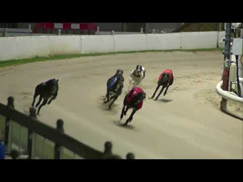 2021 CHAMPION STAKES - 2ND SEMI - T2 KISHLAWN SHAKIRA