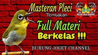 Download lagu Masteran Pleci Nembak Full Materi  Berkelas❗❗Pleci Gacor mp3