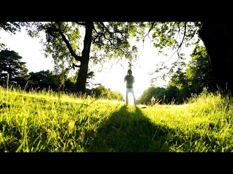 Wayvy Maradjah - The Warning (Music Video)