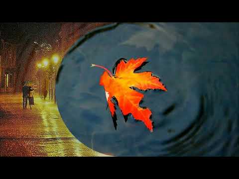 Mùa thu và em - Phú Quang