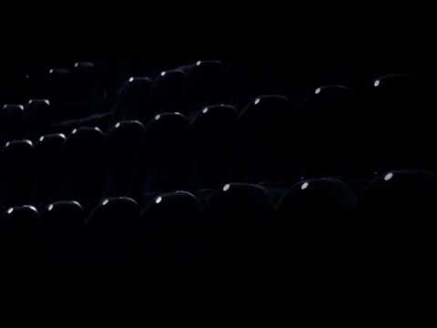 Sua Praia Esporte - 06/11