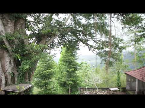 Bali Blessings | Sidemen, Karangasem