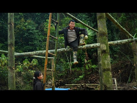 Thang and Nhi's journey of "building their nest": From large bamboo trees to a small kitchen.