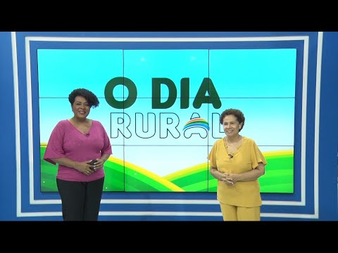 Vice governadora Regina Sousa fala sobre açoÌƒes do PRO SOCIAL e reflorestamento 02 10 2021