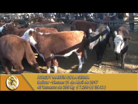 21-04-17 Venta de Machos - Jorge y Martin De La Serna - Bolivar