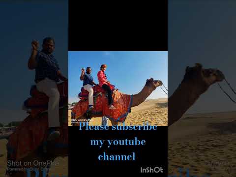 Camel ride #jaiselmer tour #enjoyment trip