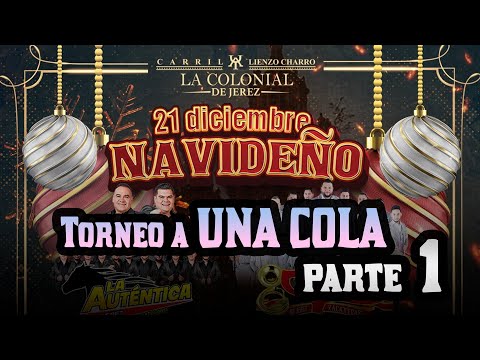 ONE-TAIL Tournament Part 1 - La Colonial de Jerez December 21, 2024