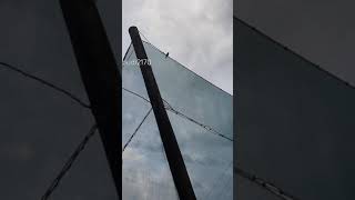 Download lagu punglor sisik berkicau.... mp3 Download lagu punglor sisik berkicau.... mp3