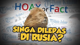 Hoax or Fact: Presiden Rusia Lepas Singa agar Warga Tak Keluar Rumah Cegah Virus Corona, Hoax