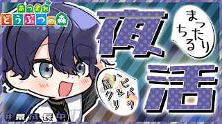 【あつまれどうぶつの森】夜活チル島クリ【長尾景/にじさんじ】