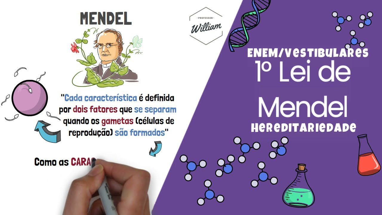 RESUMO 1° Lei de Mendel - Genética l Prof William de Andrade