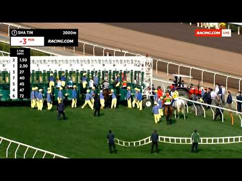 2023 HKJC SHAT IN The CITI HONG KONG GOLD CUP