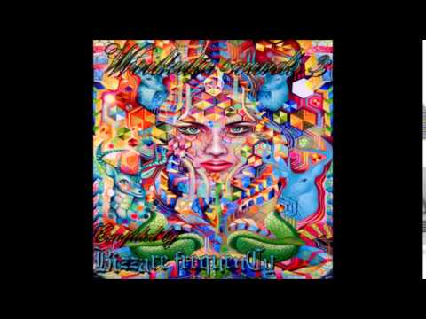 04   Shie'ox   One Foul Sweep