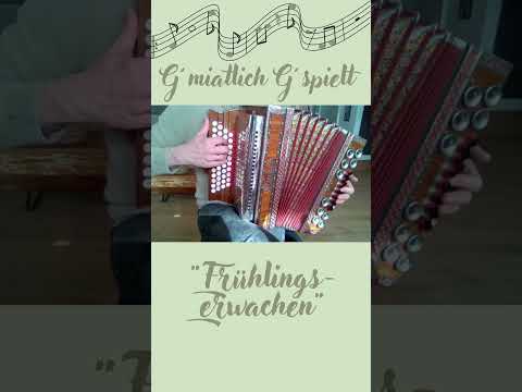 Frühlingserwachen #eigenkomposition #steirischeharmonika #quetschn #walzer #ziach #volksmusik #
