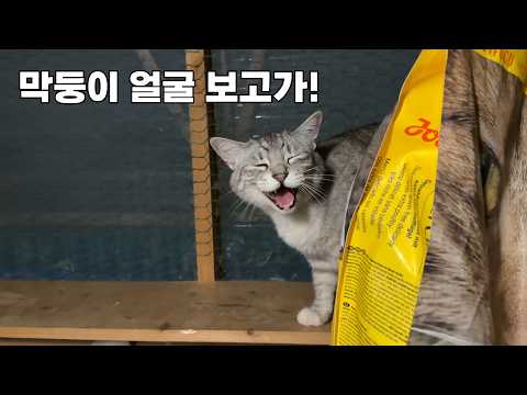 집사가 빨리 못 알아채서 미안해