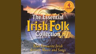 Seven Drunken Nights