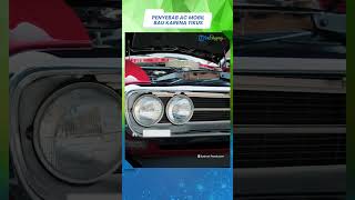 Kenapa AC Mobil Tiba-tiba Panas dan Bau? Begini Tanda-tanda Ada Tikus yang Bersarang di Dalamnya