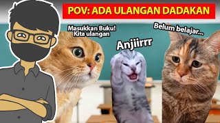 Download lagu 10 VIDEO KUCING PALING LUCU DAN NGAKAK mp3