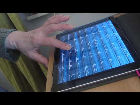 Lou Reed -  Perfect Day (iFretless Bass Cover)