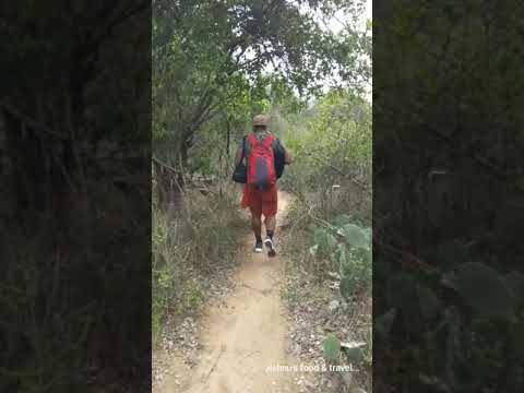 Jishnu's food & travel...