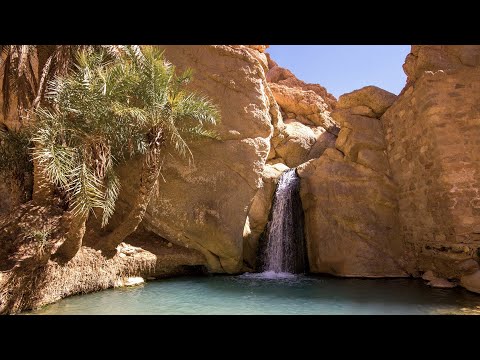 Oasis Chebika, Tozeur - TUNÍSIA