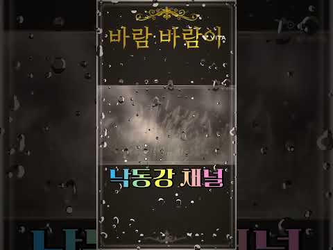 바람 바람아(정서주)-커버 가수 낙동강#낙동강채널#인기트로트#바람바람아#정서주