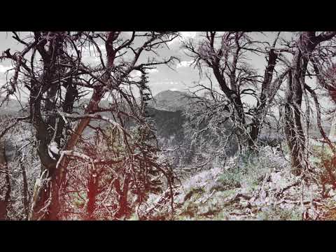 Kevin Rix - Wasteland (Uncivilized)