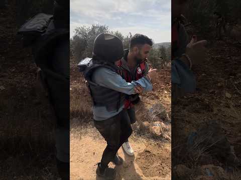 ISRAEL: Colonos atacan a agricultores palestinos en los campos de aceitunas en Cisjordania #shorts