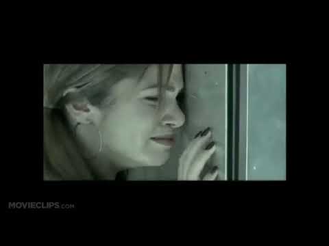 Trailer montage: park sprinklers, boutique mirrors, and a late-night bedroom lit by television blue