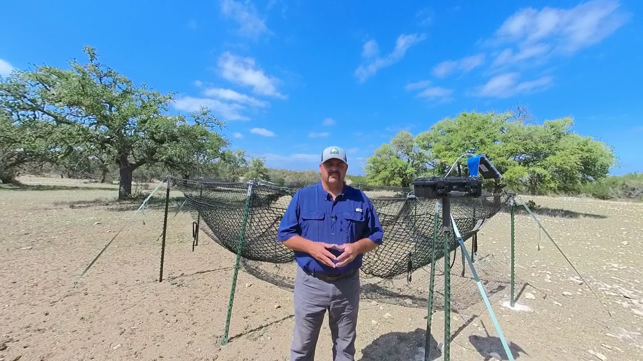 Pig Brig Trap Trigger | Pig Brig Trap Systems