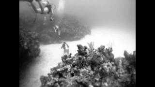 Explosions in the Sky-Six Days at the Bottom of the Ocean Music Video