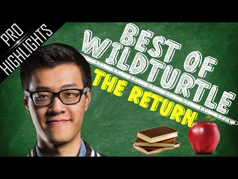 Best of WildTurtle "Coming Back Home" | THE RETURN