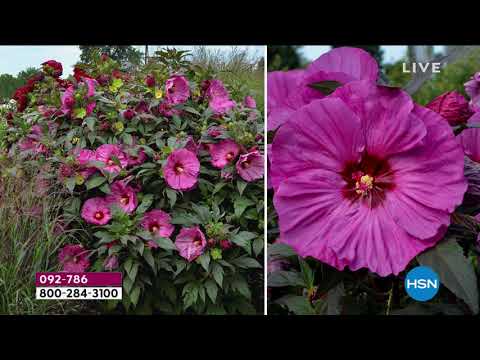 HSN | Ready, Set, Grow! Featuring Leaf & Petal Designs Anniversary 03.05.2021 - 12 AM