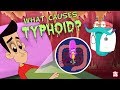 What Causes Typhoid? | The Dr. Binocs Show | Best Learning Videos For Kids | Peekaboo Kidz