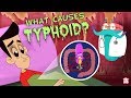 What Causes Typhoid The Dr Binocs Show Best Learning Videos For Kids Peekaboo Kidz