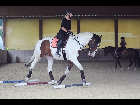 [TRAINING] Stangenarbeit am 12.08.17 | Cubilox Vlogs