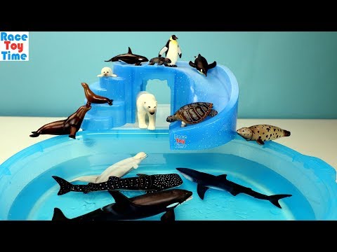 Sea Animals Toys Takara Tomy Ania Collection