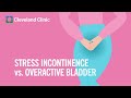 Stress Incontinence Vs Overactive Bladder What You Need To Know