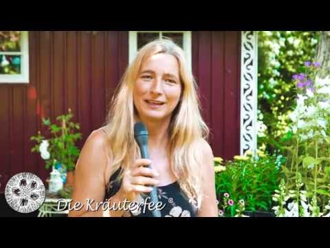 Bleib-Fit-Magazin - Zu Besuch bei der "Kräuterfee"